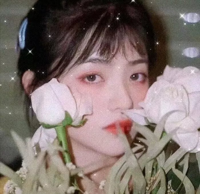 象牙山的好人们